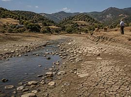 Asturias se queda sin agua: los ríos se desploman, el campo pide cisternas y dos zonas entran en prealerta
