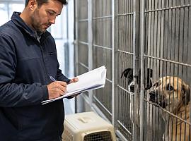 Oviedo deja desierto el contrato del albergue de animales tras excluir a Athinsa por incumplir requisitos de formación