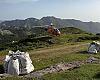 Un helicóptero para alimentar a los mastines que protegen los rebaños en Picos de Europa