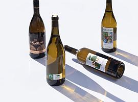 La DOP Sidra de Asturias quiere cambiar las cartas de los restaurantes: nace un “Oro” para los locales que apuesten por sidras de copa