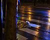 Muere un motorista al chocar contra un árbol en la avenida del Llano tras salir de trabajar en Los Fresnos