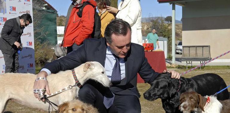 Se fomenta la adopción de mascotas de cara a los regalos navideños