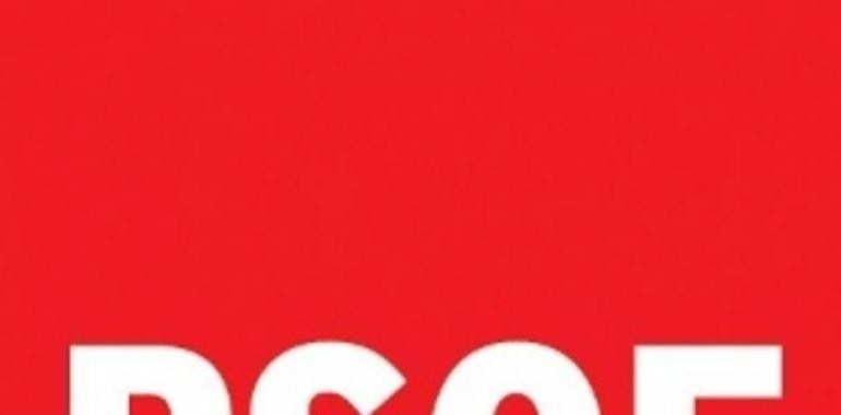 La Ejecutiva Federal del PSOE aprueba la Ponencia Marco 