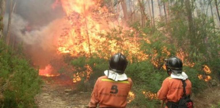 Recuperar la vida después del incendio