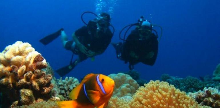 Comienza este fin de semana el “Salon de la Plongée sous-marine” de Paris