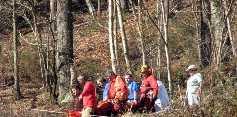 El helicóptero del Principado traslada a un herido por aplastamiento de árbol en Espinaredo