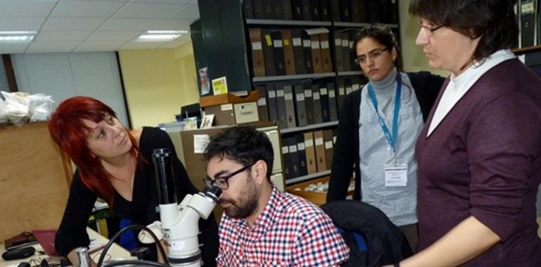 Los yacimientos de Atapuerca, en un proyecto internacional sobre técnicas de microscopía