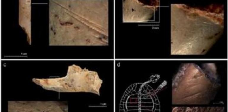 Los homínidos de Atapuerca y Bolomor tenían una variada 