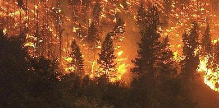 Galicia sufre incendios forestales en as Nogais, Calvos de Randín y A Mezquita