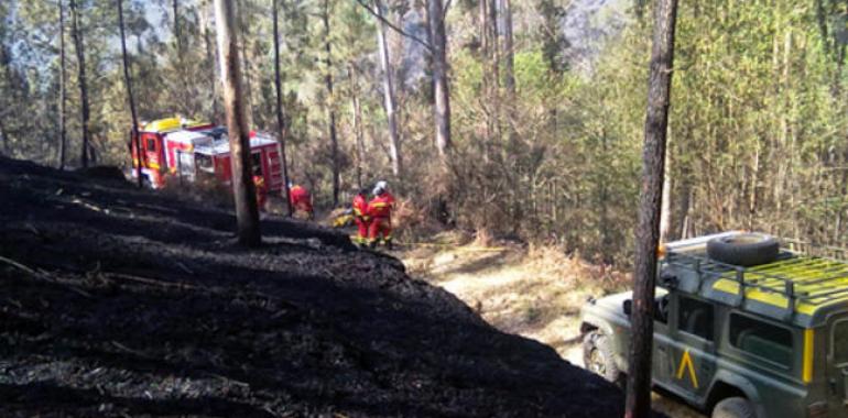 El incendio forestal de A Capela afecta ya a más de 500 hectáreas 