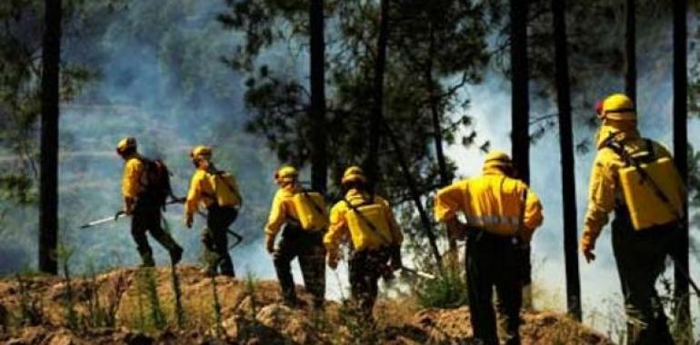 Greenpeace pide a la fiscalía que investigue las causas del incendio de las Fragas do Eume