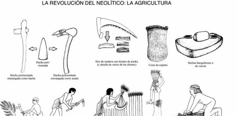 Los humanos del Neolítico emigraron al sur de Europa desde regiones mediterráneas