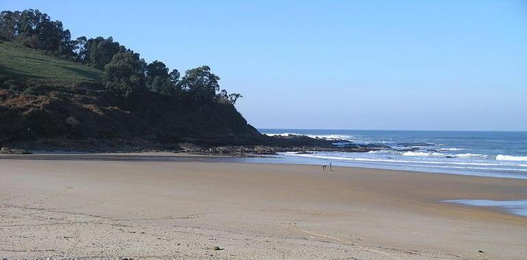 Cantabria investiga si el galipote que llega a sus playas proviene del vertido de Aboño