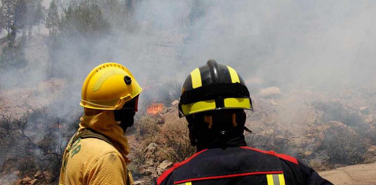 Logran estabilizar el perímetro del voraz incendio tinerfeño