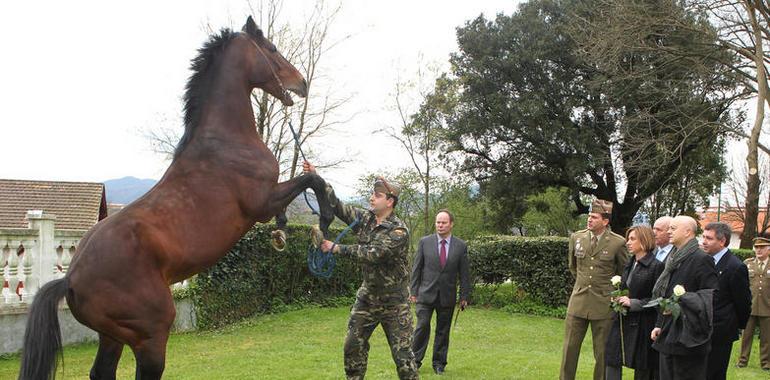 Defensa trasladará la Yeguada de Lore-Toki a Ibio (Cantabria)