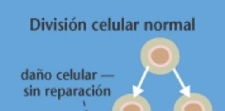 Nanotermómetros para vigilar las células cancerígenas