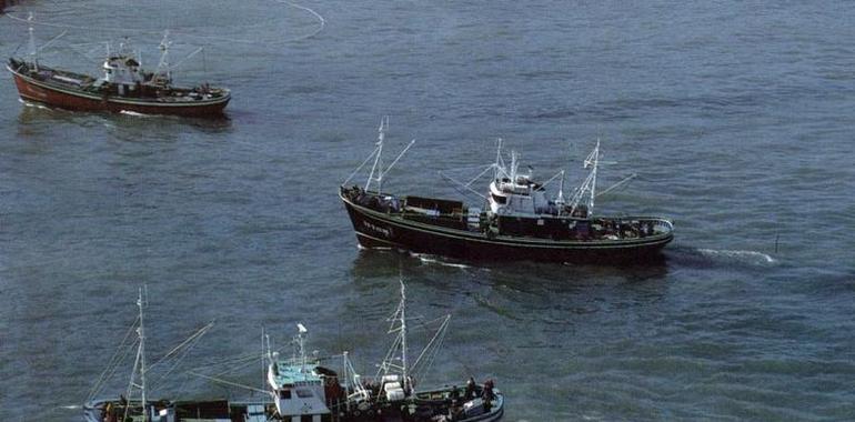 Renovado el Protocolo del Acuerdo de Pesca entre la UE y Guinea Bissau 