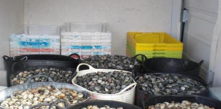 Requisan más de 11 toneladas de pescado y marisco en Galicia