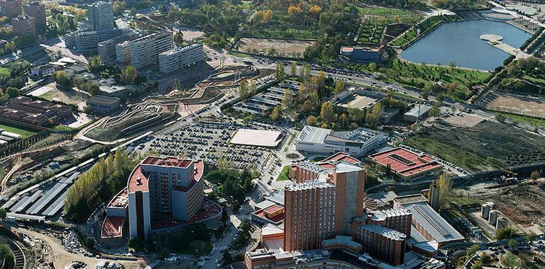 Un carnicero herido muy grave al clavarse el cuchillo jamonero