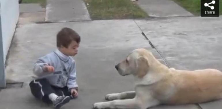 La amistad de un niño con síndrome de Down y su perra