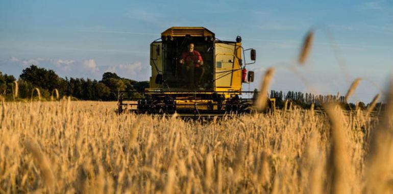 La variedad de alimentos consumidos por la humanidad se reduce peligrosamente