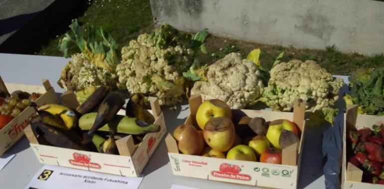 Gijón recuerda Fukushima en el Mercáu de la fruta radiactiva 