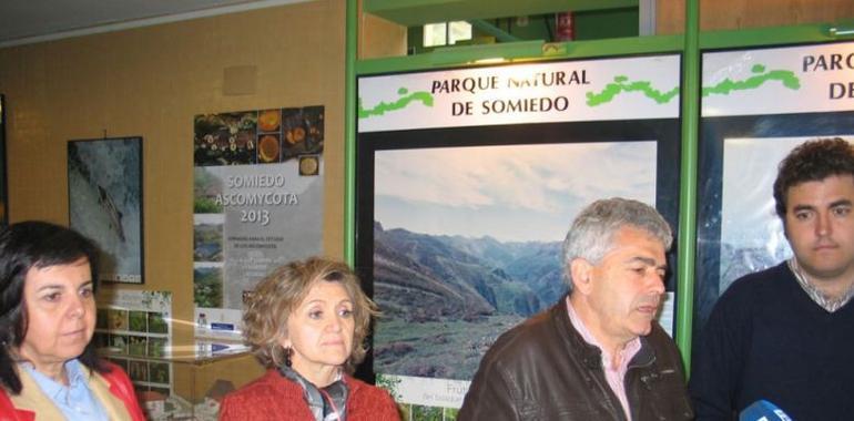 El oso como emblema de la biodiversidad en Asturias