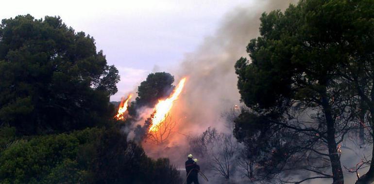 Efectivos del Servicio de Bomberos de la ANE intervienen para sofocar un incendio en Iriso (Izagaondoa) 