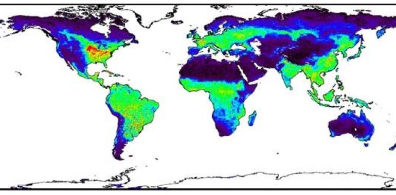 Desarrollan un nuevo método para simular el impacto del cambio climático en las cosechas