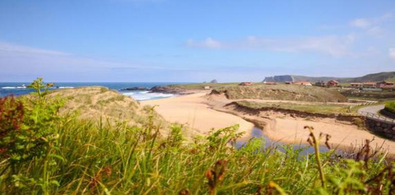 Europa financia la recuperación de la biodiversidad en las dunas de Asturias