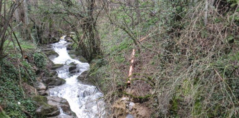 Denuncian vertidos ganaderos dentro del Parque Natural y Reserva de la Biosfera de Somiedo