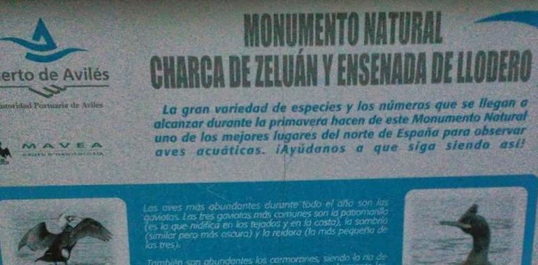 Mavea presenta alegaciones al nuevo asentamiento industrial en la Charca de Zeluán