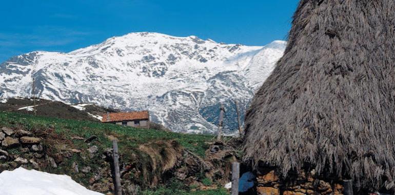 La Braña de la Pornacal, enseña de Asturias para  