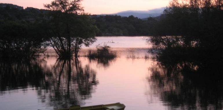 Esencias de agua, vino y verdad en Tierras del Ribeiro