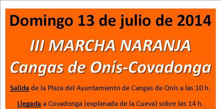 La Marea Naranja en defensa de los servicios sociales marcha el domingo hasta Covadonga