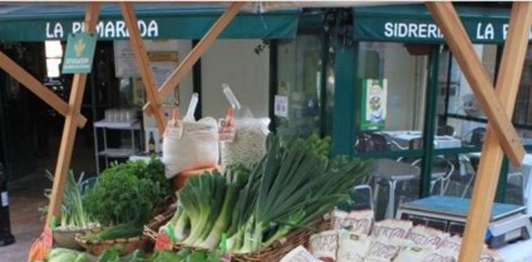 El domingo regresa el Mercado Ecológico a la calle Gascona