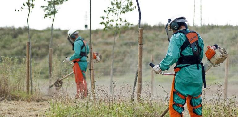 Más de 7.000 personas en riesgo de exclusión han participado en el Programa de Conservación y Mejora de Parques Naturales de ”la Caixa”