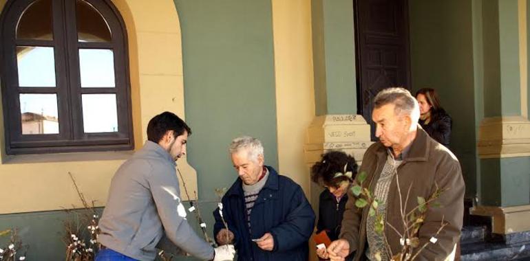 Tineo reparte dos mil frutales entre vecinos del concejo