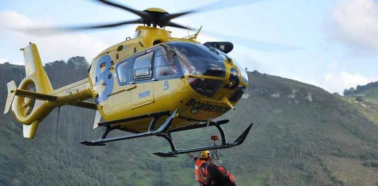 Muere un leñador en Rozadas tras caerle encima un eucalipto 