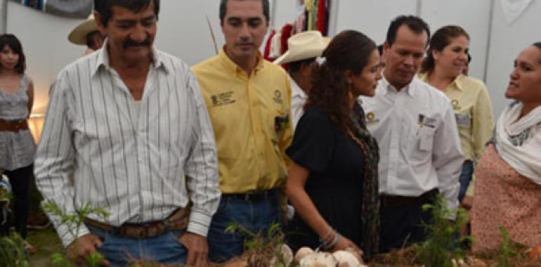 Se celebra con gran éxito la feria del Hongo en Senguío, Morelia