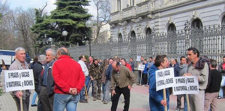 Los ganaderos denuncian que no se les permitió llevar animales en su protesta