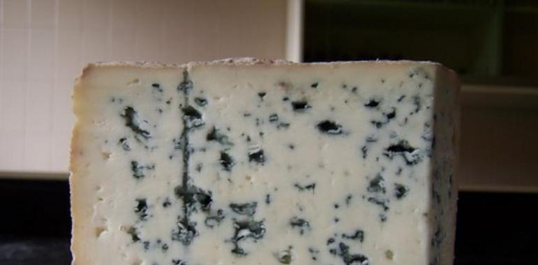 Rastreando el “pedigrí” del queso azul de Valdeón