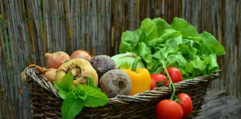 Las verduras fritas con aceite de oliva son más saludables que las cocidas 