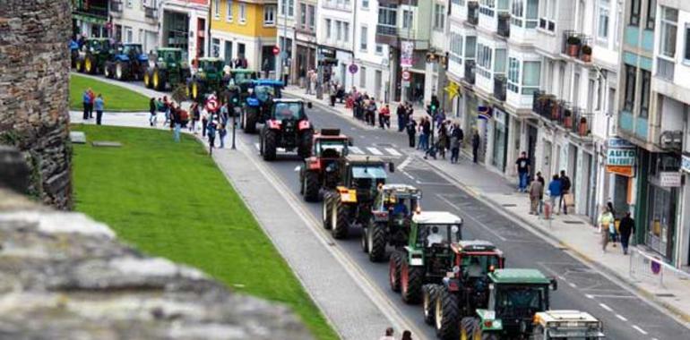 Ganaderos de la leche anuncian acciones el domingo en León, Asturias y Galicia