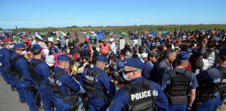 Marcha en Gijón del Humedal a La Escalerona en demanda de apoyo a los refugiados