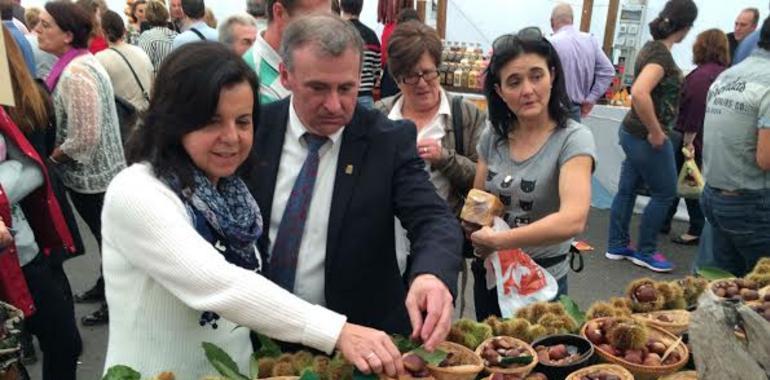 Declaradas zonas de pastoreo tradicional nuevas superficies en Asturias