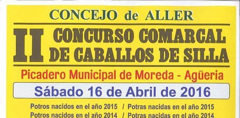 Abiertas inscripciones para el II Concurso comarcal de Caballo de Silla en Aller