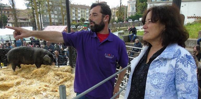 Podemos pide que la Ley de Venta Directa se elabore en Asturias y no en Madrid