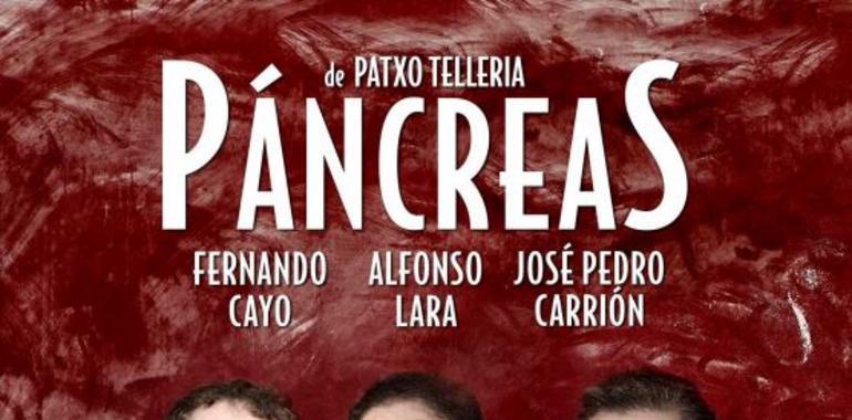 Páncreas, una comedia sobre los límites de la amistad, en el Niemeyer