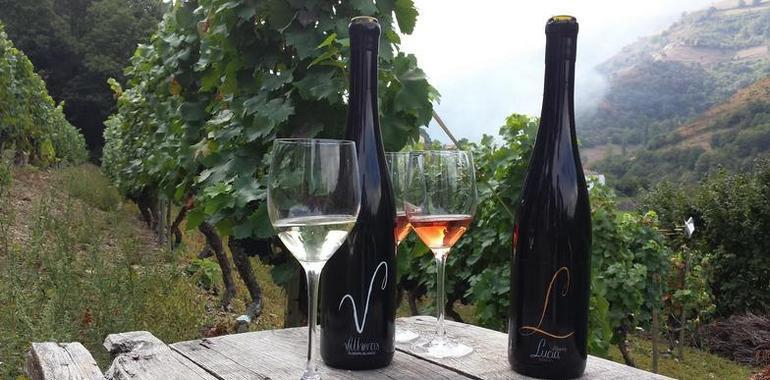 Asturiano:Vitheras Blanco es medalla de plata en el Wine & Spirit Competition